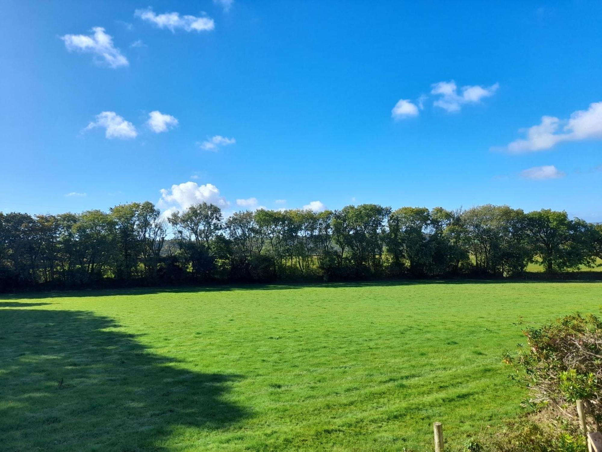 Fairwater Head Hotell Axminster Rom bilde